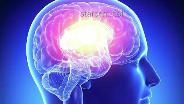 人的大脑会不会出现「过拟合」病？探究大脑学习与记忆的奥秘